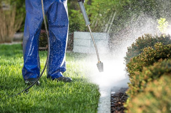 Cost of Curb Cleaning in Chico