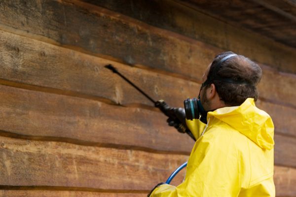 Cost of Cedar Siding Washing in Chico