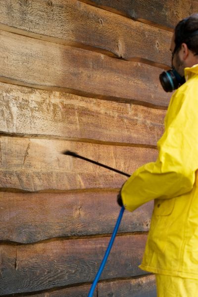 Cedar Siding Pressure Cleaning